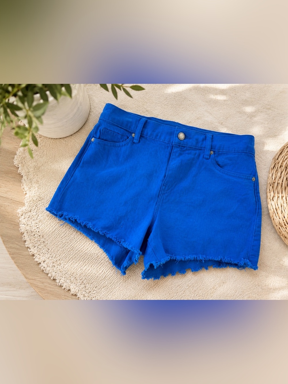 Hudson Blue Frayed Denim Shorts – Size 28